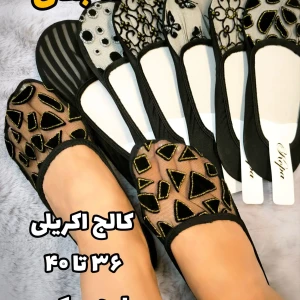 InShot_20260406_223211042