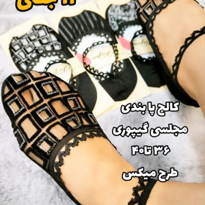 InShot_20260406_223602253