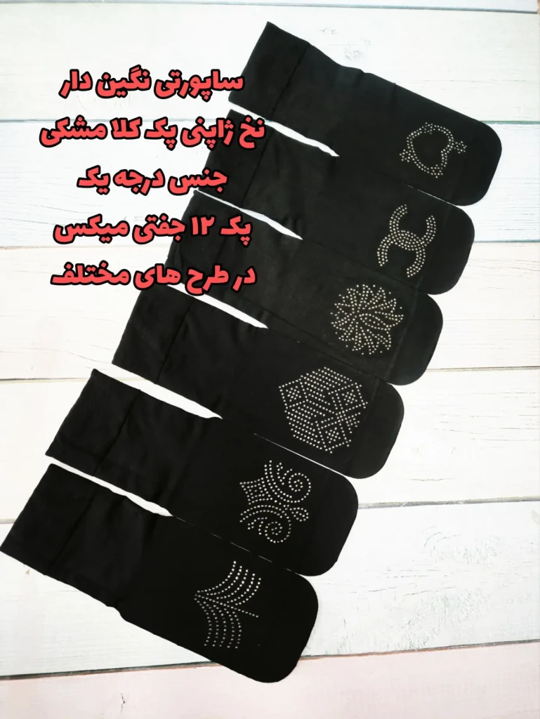 InShot_20260225_150031402