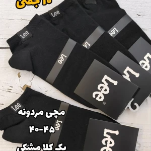 InShot_20260405_154551841