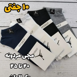 InShot_20260405_154638105