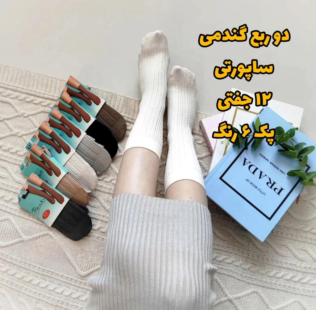 InShot_20260818_211725779